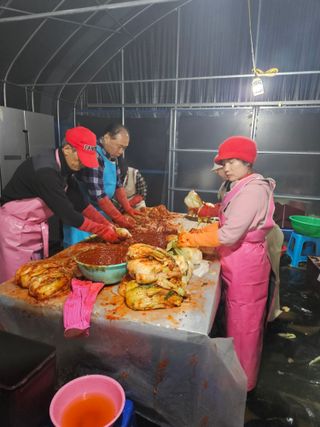 감7768님의 배추 · 영농일지 작성글 사진