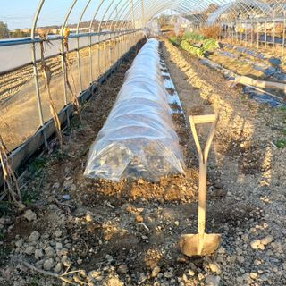 김진영님의 기타작물 · 영농일지 작성글 사진