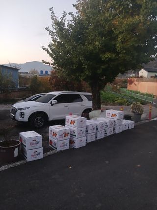 최영묵님의 시금치 · 영농일지 작성글 사진