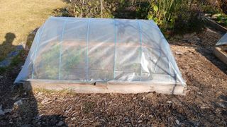 이상철님의 기타작물 · 영농일지 작성글 사진