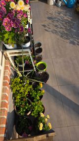 팜모닝 기타작물·영농일지 게시글 이미지