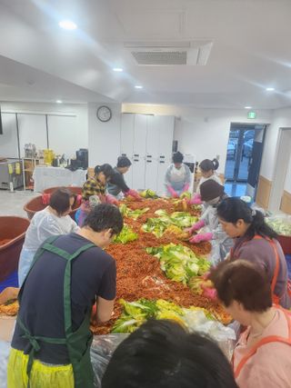 손정아님의 배추 · 영농일지 작성글 사진