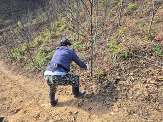 엉뚱님의 기타작물 · 영농일지 작성글 사진