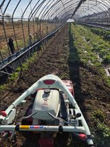 팜모닝 파·영농일지 게시글 이미지