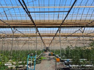 늘햇살팜 님의 기타작물 · 영농일지 작성글 사진