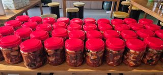 최월숙(왈순아지매)님의 기타작물 · 영농일지 작성글 사진