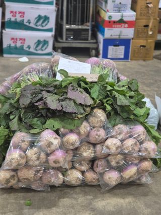 봉우재농부님의 기타작물 · 영농일지 작성글 사진