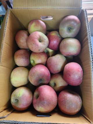 알 수 없음님의 사과 · 영농일지 작성글 사진