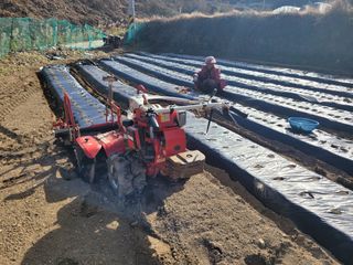 여우내 이순홍님의 파 · 영농일지 작성글 사진