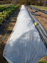 팜모닝 기타작물·영농일지 게시글 이미지