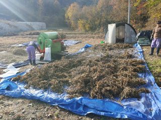 솔청님의 콩 · 영농일지 작성글 사진