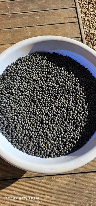 장용선 사진작가농부님의 기타작물 · 영농일지 작성글 사진