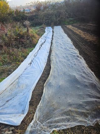 장문업 님의 기타작물 · 영농일지 작성글 사진