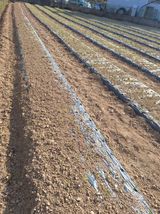 팜모닝 기타작물·영농일지 게시글 이미지