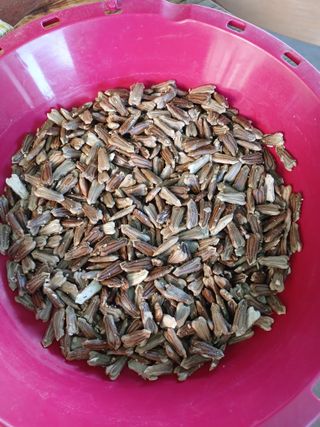 땅콩맘님의 기타작물 · 영농일지 작성글 사진