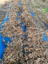 팜모닝 콩·영농일지 게시글 이미지