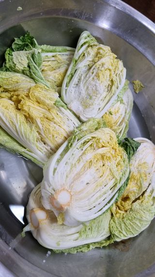 김지철님의 기타작물 · 영농일지 작성글 사진