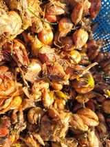 여우내 이순홍님의 작성글 사진