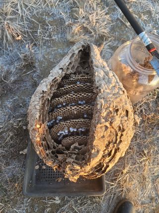 신승철님의 콩 · 영농일지 작성글 사진