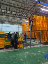 팜모닝 기타작물·영농일지 게시글 이미지