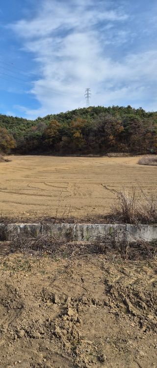 이영식님의 기타작물 · 영농일지 작성글 사진