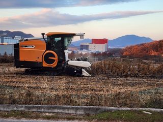 박희욱님의 콩 · 영농일지 작성글 사진
