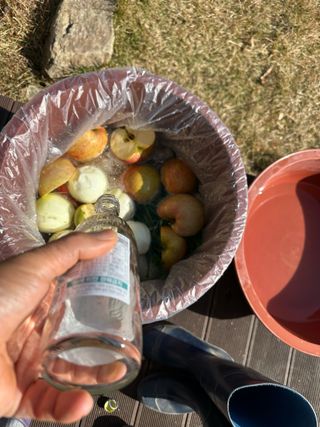 이익수님의 기타작물 · 영농일지 작성글 사진