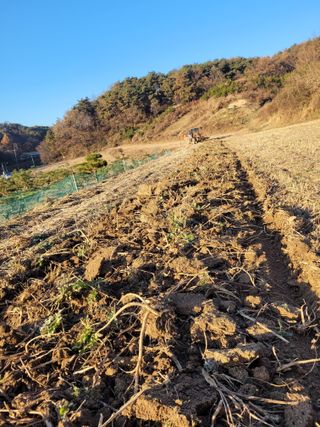 이름유순옥님의 기타작물 · 영농일지 작성글 사진