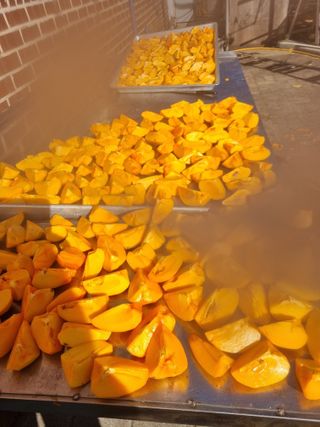 김용대님의 기타작물 · 영농일지 작성글 사진