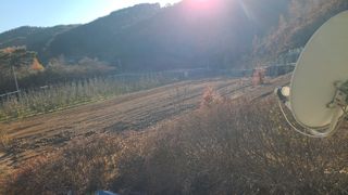 고춘석(고랑과이랑)님의 콩 · 영농일지 작성글 사진