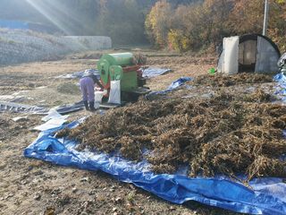 솔청님의 콩 · 영농일지 작성글 사진