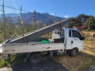 날씨가 흐려 방제가님의 사과 · 영농일지 작성글 사진