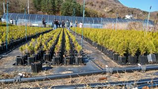 이상철님의 기타작물 · 영농일지 작성글 사진