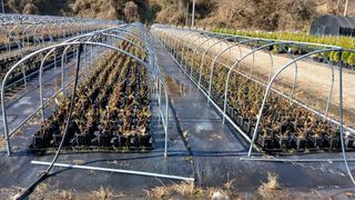 이상철님의 기타작물 · 영농일지 작성글 사진