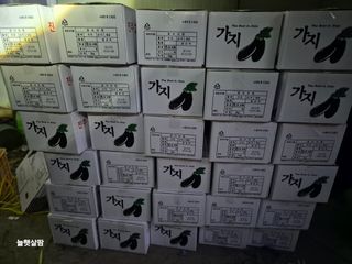 늘햇살팜 님의 기타작물 · 영농일지 작성글 사진