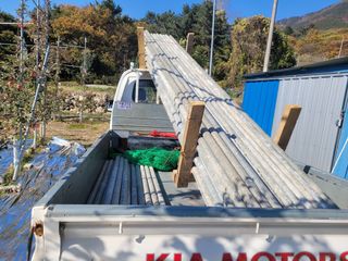 날씨가 흐려 방제가님의 사과 · 영농일지 작성글 사진