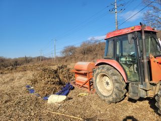 신승철님의 콩 · 영농일지 작성글 사진
