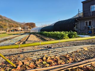 김명웅님의 기타작물 · 영농일지 작성글 사진