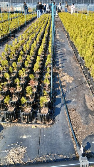 이상철님의 기타작물 · 영농일지 작성글 사진