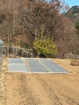 팜모닝 기타작물·영농일지 게시글 이미지