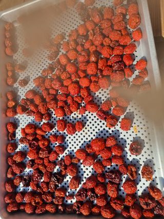 김용대님의 기타작물 · 영농일지 작성글 사진