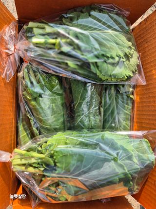 늘햇살팜 님의 기타작물 · 영농일지 작성글 사진