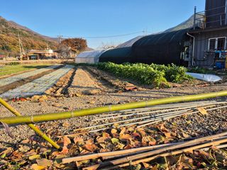 김명웅님의 기타작물 · 영농일지 작성글 사진