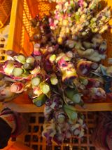 팜모닝 기타작물·영농일지 게시글 이미지