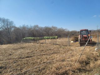 신승철님의 콩 · 영농일지 작성글 사진