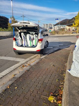 김용대님의 기타작물 · 영농일지 작성글 사진