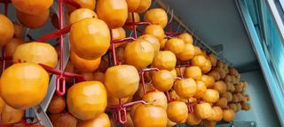 권영식님의 감 · 영농일지 작성글 사진