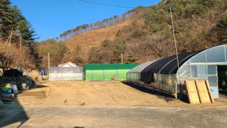 고춘석(고랑과이랑)님의 콩 · 영농일지 작성글 사진