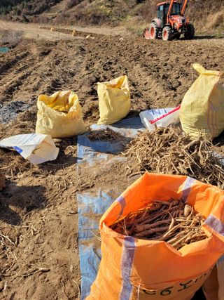 이름유순옥님의 기타작물 · 영농일지 작성글 사진