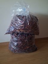 팜모닝 고추·영농일지 게시글 이미지